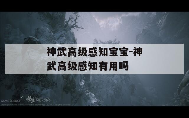 神武高級感知寶寶-神武高級感知有用嗎
