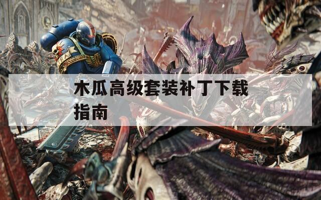 木瓜高級(jí)套裝補(bǔ)丁下載指南