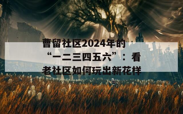 曹留社區(qū)2024年的“一二三四五六”：看老社區(qū)如何玩出新花樣