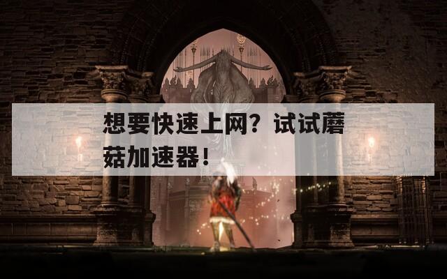 想要快速上網(wǎng)？試試蘑菇加速器！