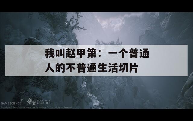 我叫趙甲第：一個普通人的不普通生活切片