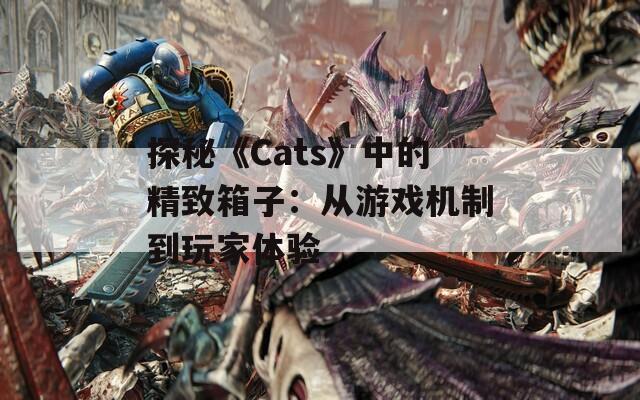 探秘《Cats》中的精致箱子：從游戲機(jī)制到玩家體驗(yàn)