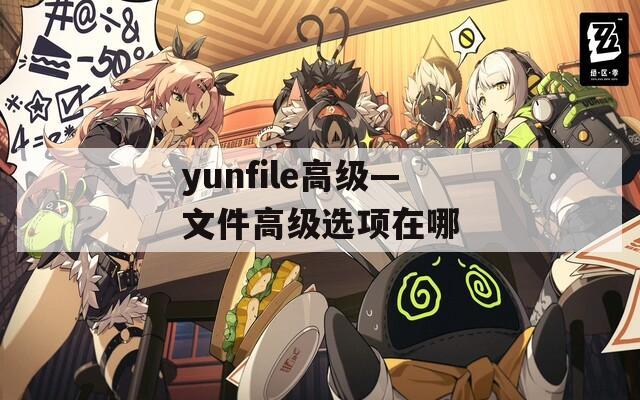 yunfile高級—文件高級選項(xiàng)在哪