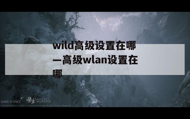 wild高級設置在哪—高級wlan設置在哪