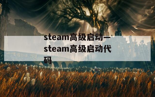 steam高級(jí)啟動(dòng)—steam高級(jí)啟動(dòng)代碼