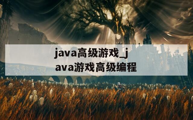 java高級(jí)游戲_java游戲高級(jí)編程