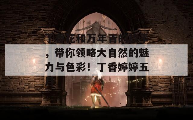 丁香花和萬年青的故事，帶你領(lǐng)略大自然的魅力與色彩！丁香婷婷五月