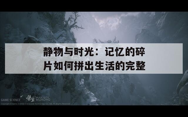 靜物與時光：記憶的碎片如何拼出生活的完整