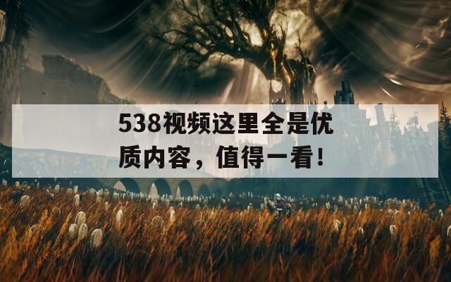 538視頻這里全是優(yōu)質(zhì)內(nèi)容，值得一看！