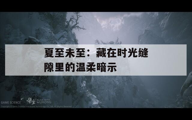 夏至未至：藏在時光縫隙里的溫柔暗示