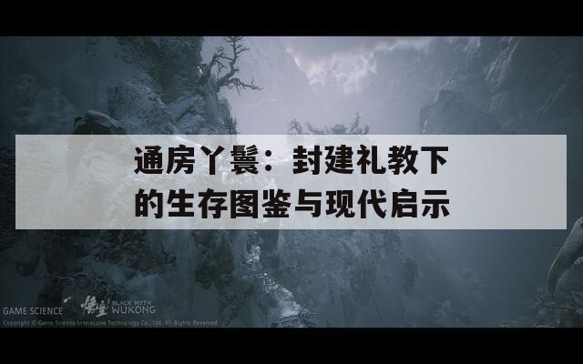 通房丫鬟：封建禮教下的生存圖鑒與現(xiàn)代啟示