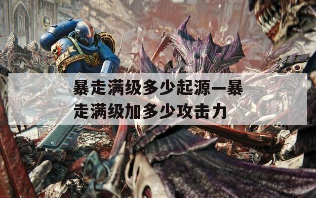 暴走滿級多少起源—暴走滿級加多少攻擊力