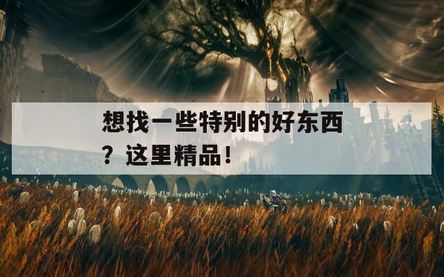想找一些特別的好東西？這里精品！