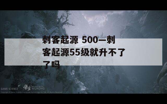 刺客起源 500—刺客起源55級(jí)就升不了了嗎