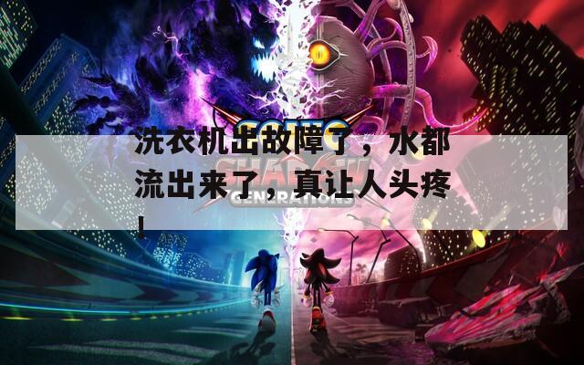 洗衣機(jī)出故障了，水都流出來了，真讓人頭疼！
