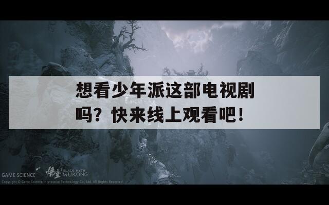 想看少年派這部電視劇嗎？快來線上觀看吧！