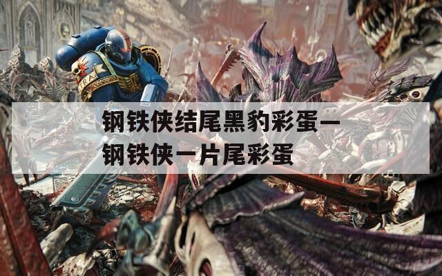 鋼鐵俠結(jié)尾黑豹彩蛋—鋼鐵俠一片尾彩蛋