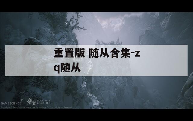 重置版 隨從合集-zq隨從