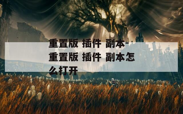 重置版 插件 副本-重置版 插件 副本怎么打開