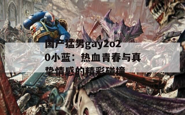 國(guó)產(chǎn)猛男g(shù)ay2o20小藍(lán)：熱血青春與真摯情感的精彩碰撞