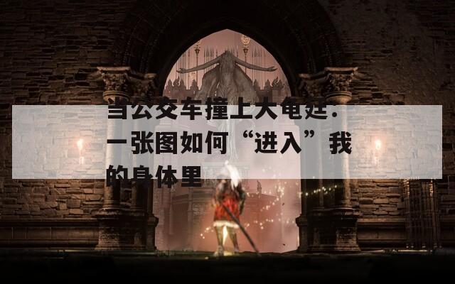 當(dāng)公交車撞上大龜廷：一張圖如何“進(jìn)入”我的身體里