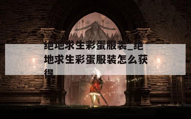 絕地求生彩蛋服裝_絕地求生彩蛋服裝怎么獲得