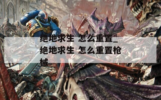 絕地求生 怎么重置_絕地求生 怎么重置槍械