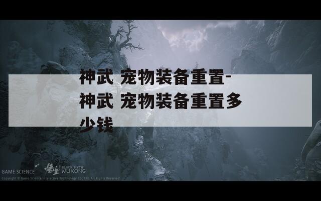 神武 寵物裝備重置-神武 寵物裝備重置多少錢