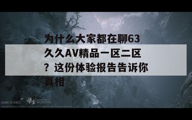 為什么大家都在聊63久久AV精品一區(qū)二區(qū)？這份體驗報告告訴你真相