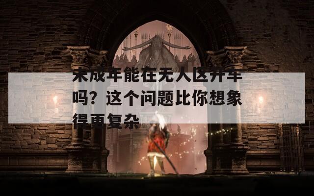 未成年能在無人區(qū)開車嗎？這個問題比你想象得更復(fù)雜