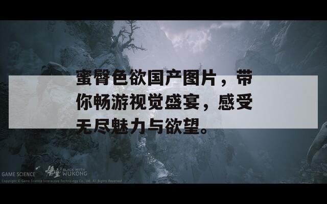 蜜臀色欲國產(chǎn)圖片，帶你暢游視覺盛宴，感受無盡魅力與欲望。