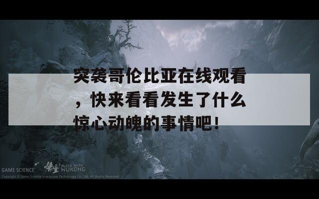 突襲哥倫比亞在線觀看，快來看看發(fā)生了什么驚心動魄的事情吧！