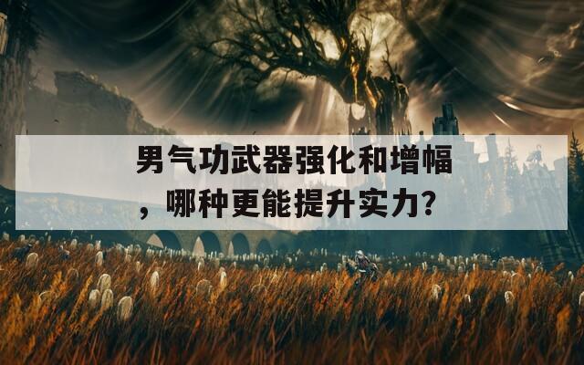 男氣功武器強化和增幅，哪種更能提升實力？