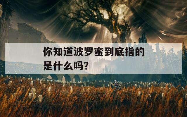 你知道波羅蜜到底指的是什么嗎？