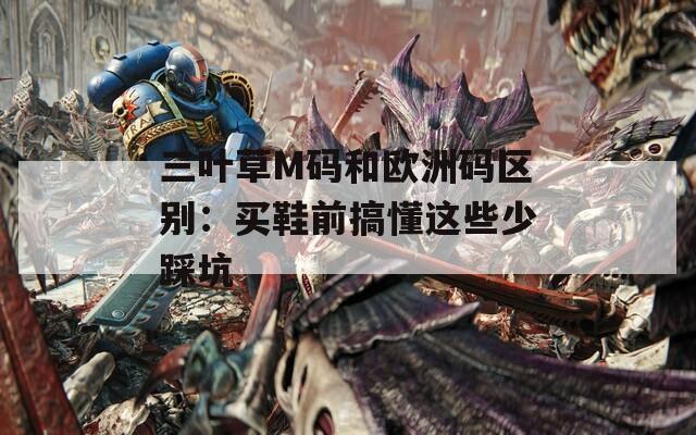 三葉草M碼和歐洲碼區(qū)別：買鞋前搞懂這些少踩坑