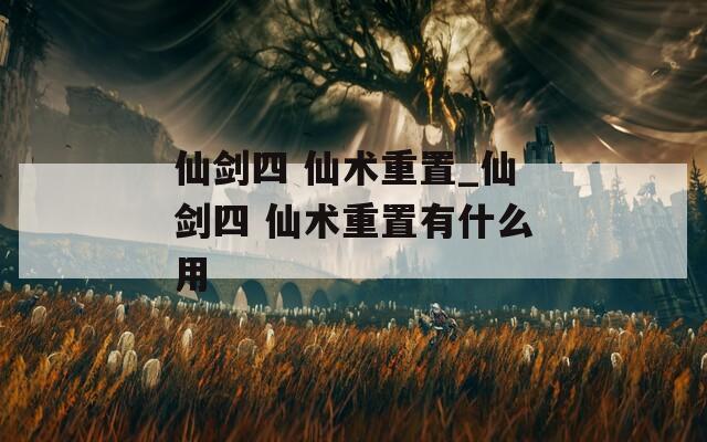 仙劍四 仙術(shù)重置_仙劍四 仙術(shù)重置有什么用