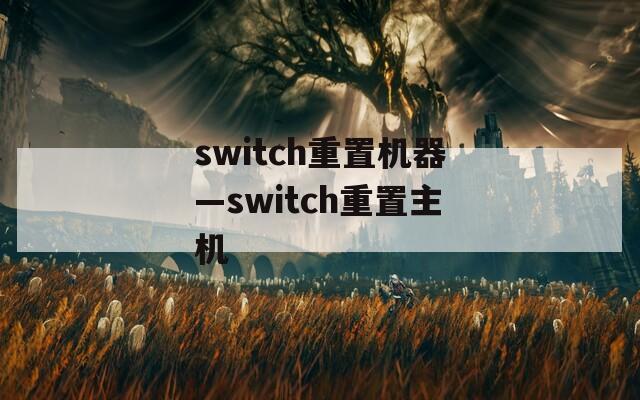 switch重置機(jī)器—switch重置主機(jī)