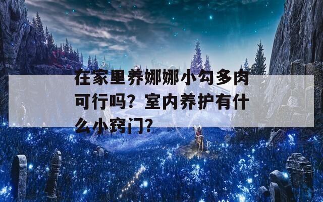 在家里養(yǎng)娜娜小勾多肉可行嗎？室內養(yǎng)護有什么小竅門？