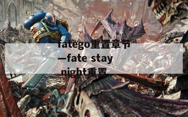 fatego重置章節(jié)—fate stay night重置