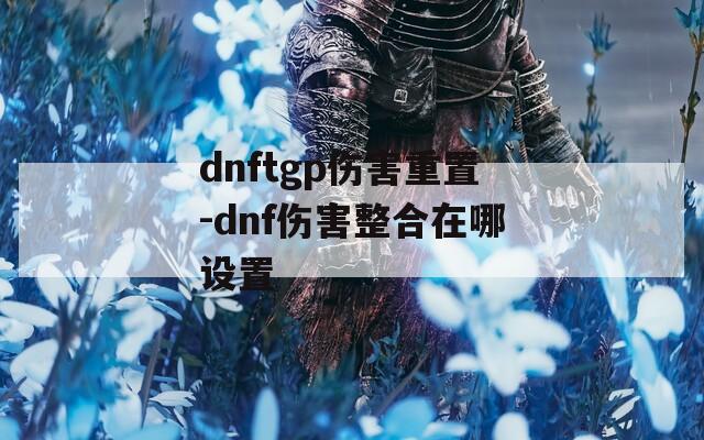 dnftgp傷害重置-dnf傷害整合在哪設(shè)置
