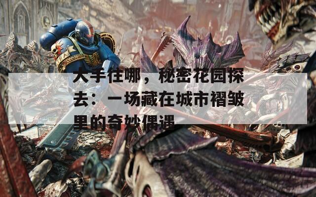 大手往哪，秘密花園探去：一場(chǎng)藏在城市褶皺里的奇妙偶遇