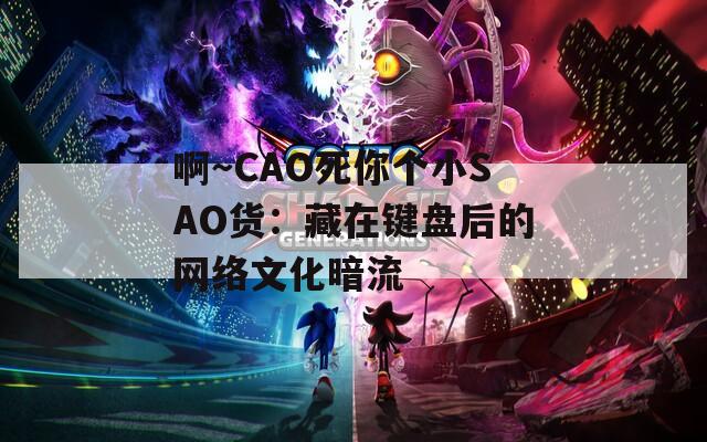 啊～CAO死你個小SAO貨：藏在鍵盤后的網(wǎng)絡(luò)文化暗流