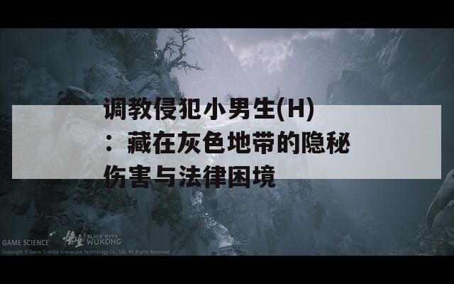 調(diào)教侵犯小男生(H)：藏在灰色地帶的隱秘傷害與法律困境