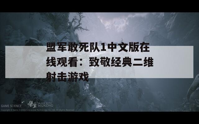盟軍敢死隊(duì)1中文版在線觀看：致敬經(jīng)典二維射擊游戲