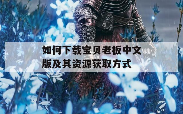 如何下載寶貝老板中文版及其資源獲取方式