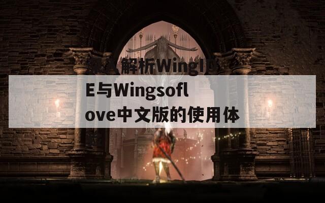 深入解析WingIDE與Wingsoflove中文版的使用體驗