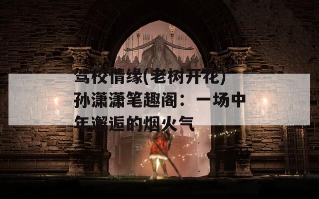 駕校情緣(老樹(shù)開(kāi)花)孫瀟瀟筆趣閣：一場(chǎng)中年邂逅的煙火氣