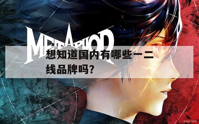 想知道國內(nèi)有哪些一二線品牌嗎？