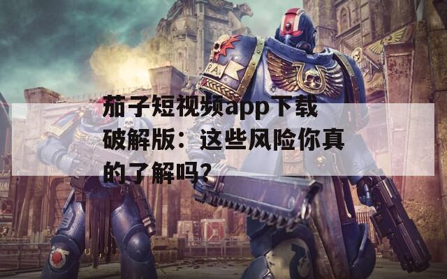 茄子短視頻app下載破解版：這些風(fēng)險(xiǎn)你真的了解嗎？