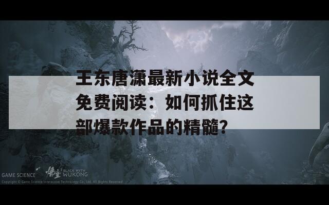 王東唐瀟最新小說全文免費(fèi)閱讀：如何抓住這部爆款作品的精髓？